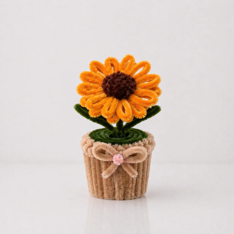 Potted Flowers