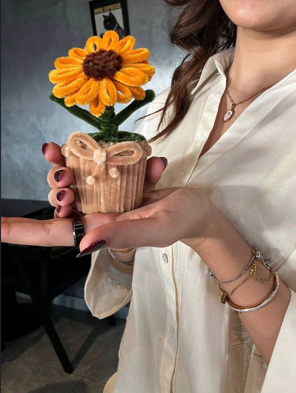 Person holding a small potted plant with a decorative pot