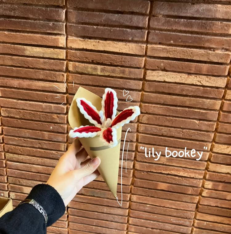 Hand holding a cone-shaped treat with red and white design against a brick wall, branded 'lily bookey'.
