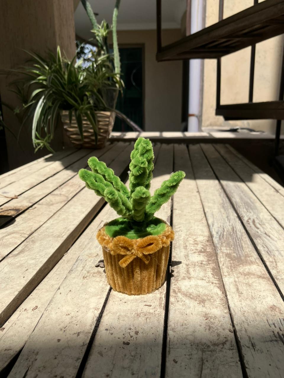 Small potted plant on a wooden deck with a blurred background