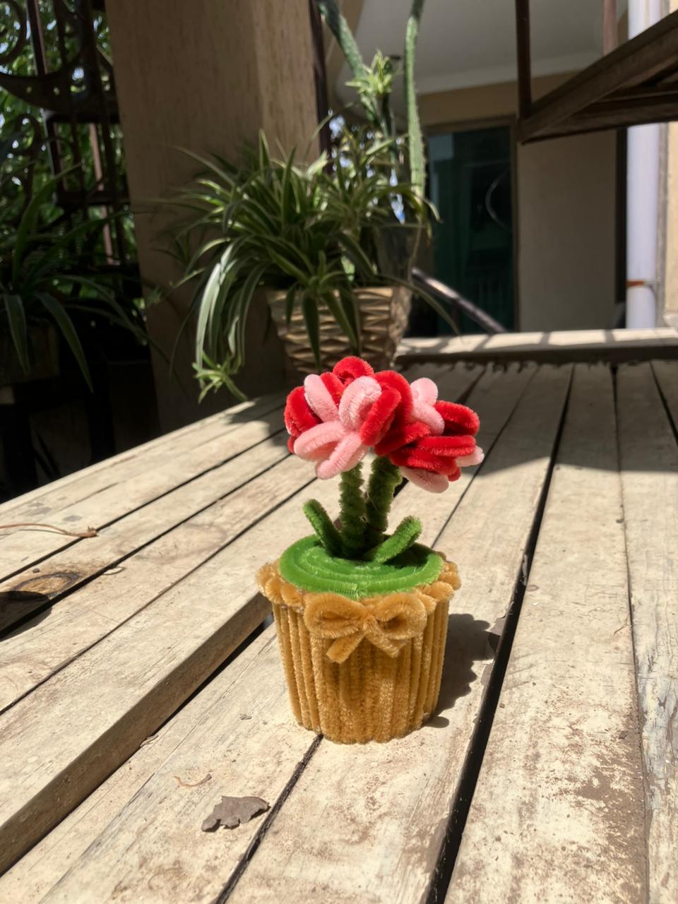 Small cactus plant with pink flowers in a decorative pot on a wooden surface.