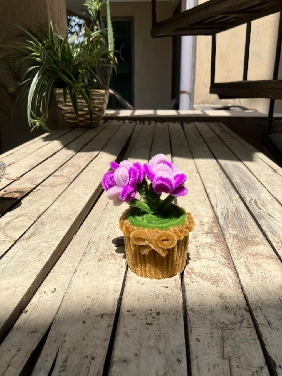 Small potted plant with pink flowers on a wooden deck
